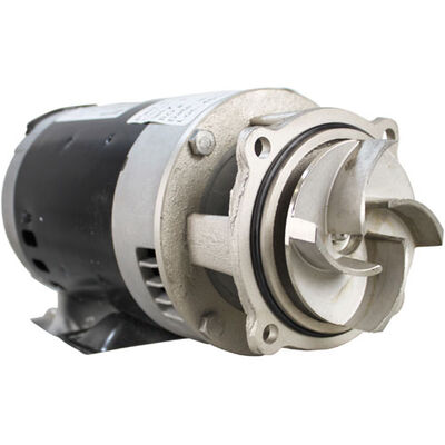 CMA Dishmachines 00200.10 Dishwasher Pump/Motor Assembly