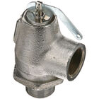 Garland 076005-2 Steam Safety Pressure Relief Valve 3/4" MPT X 3/4" FPT 25 PSI