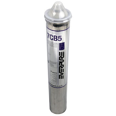 Everpure 9625-01 Filter Cartridge, Steamer-7Cb5 5Micron