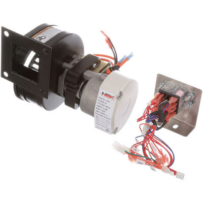 Duke 600250SED Oven Blower Motor Assembly 60HZ 115V