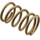 T&S Brass TS895-45 Push Button Spring (T&S)