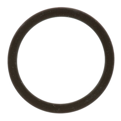 Jackson 54000 O-Ring