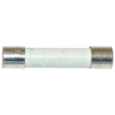 Frymaster 8072819 Ceramic Fuse 250V, 20 AMP