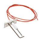Crown Steam 6692-1 Electrode Assembly