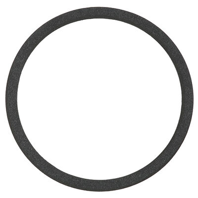 Jackson 53301115990 Pump Gasket 4-3/4" D