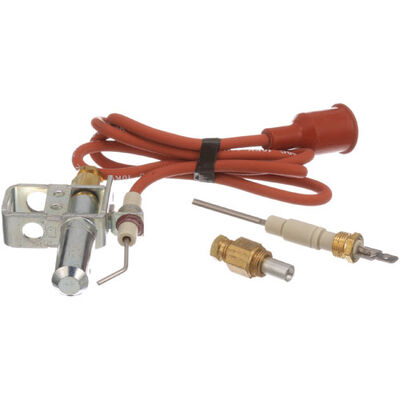 Johnson Controls J987DDW Pilot Ignitor