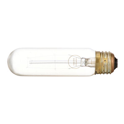 TRUE 801112 High Temperature Shatterproof Lamp PFA-Coated 250&deg; 130V/25W