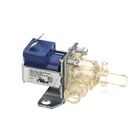 Curtis WCWC820WDR Dump Valve 3/8" Hose 120V