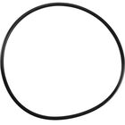Everpure EV309350 O-Ring,Housing