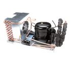Delfield 000-BN5-0031-S Condensing Unit Assembly 1/5HP AX