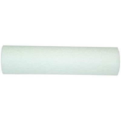 Rheem 9534-40 EC110 10" Water Filter Cartridge