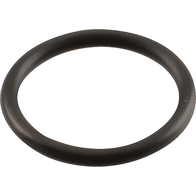 Manitowoc 5004679 Water Pump Outle T O-Ring,