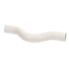Hussmann 423706 Trap-Drain