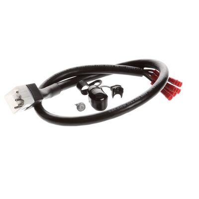 True 881619 6-Wire Power Cord Kit IDL 20"