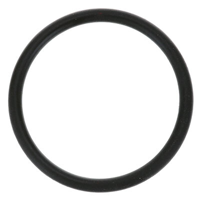 Hoshizaki 7611-G025 O-Ring