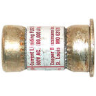 Hatco R02-03-010 Fuse