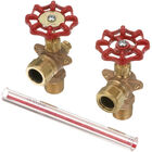 Cleveland 40445 Gauge Glass Assembly