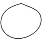Champion 109653 O-Ring - Pump