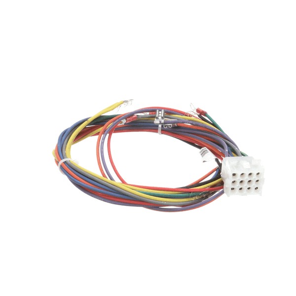 Blodgett 21058 Convection Oven Wiring Harness Control Component