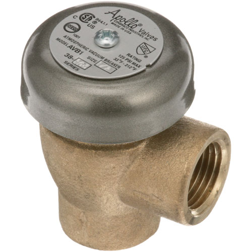 Insinger D2-241 Bronze Vacuum Breaker 1/2" FPT 125 PSI