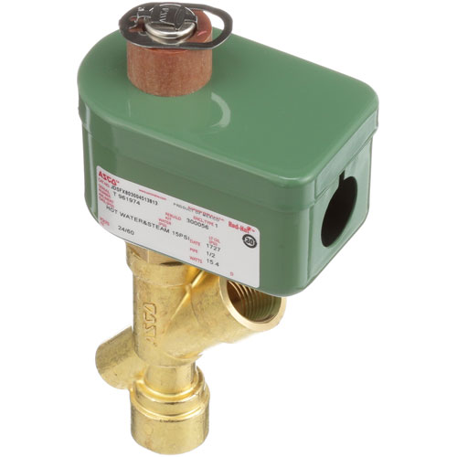 Groen 074594 Solenoid Valve 1/2" NPT 24V