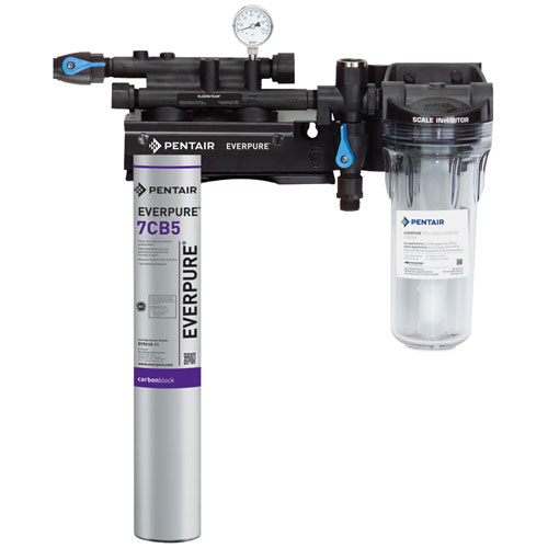 Everpure EV979721A Water Filter SR-X Steamer System W/ Black Head