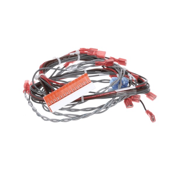 Groen 160882 Steamer Wire Harness Forward SSB