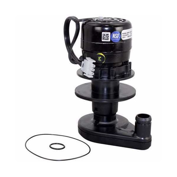 Manitowoc Ice 000000680 Water Pump, 115V, 60Hz, 1Ph | Parts Town