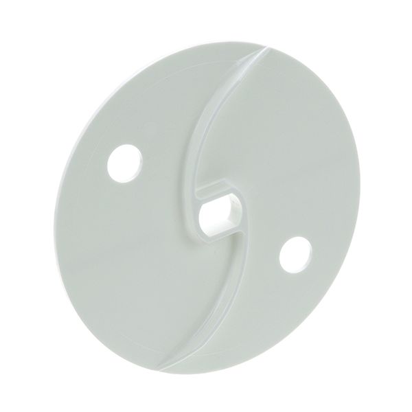 Robot Coupe 100062 Discharge Plate PartsFe