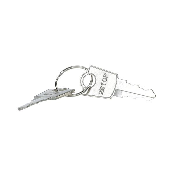 Turbo Air 3000000000 Keys (Pair) PartsFe